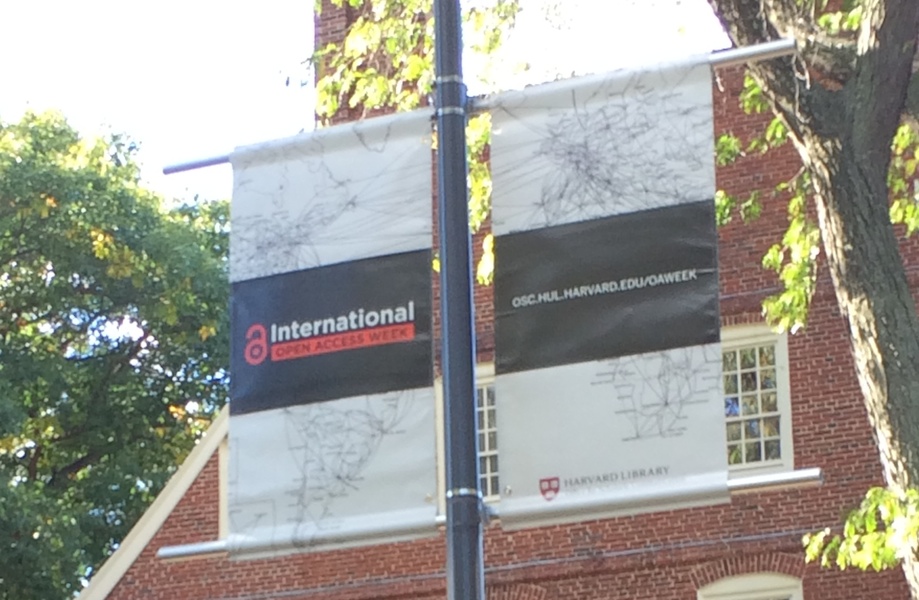 Open Access Banners flying in Harvard Yard